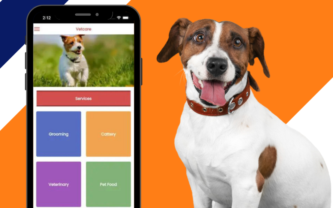 Pet Care Solution