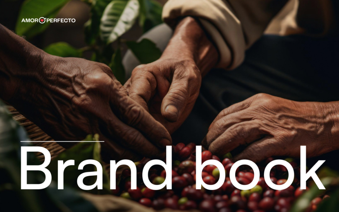 A refreshed coffee experience: Amor Perfecto’s Brand Redesign