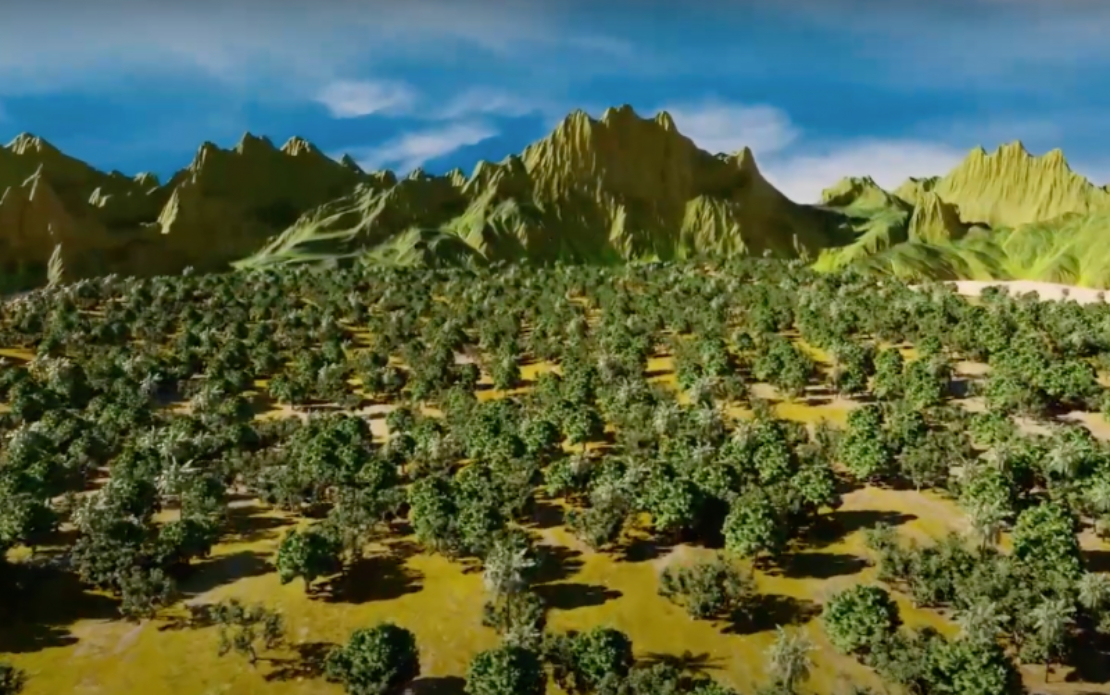 3D Animated Aerial Video Production for Business Consulting Company