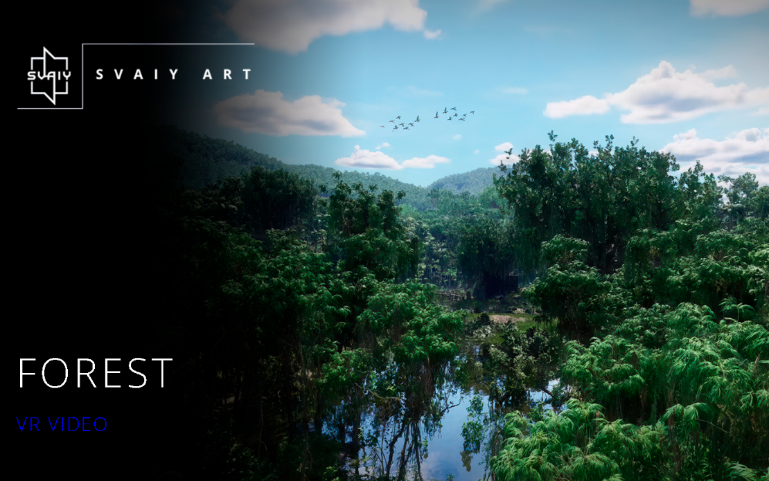 Forest | VR Video