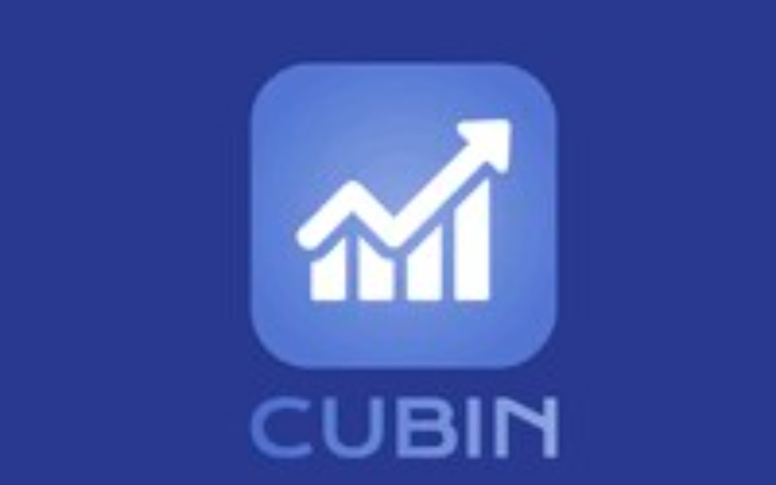 Cubin LLC