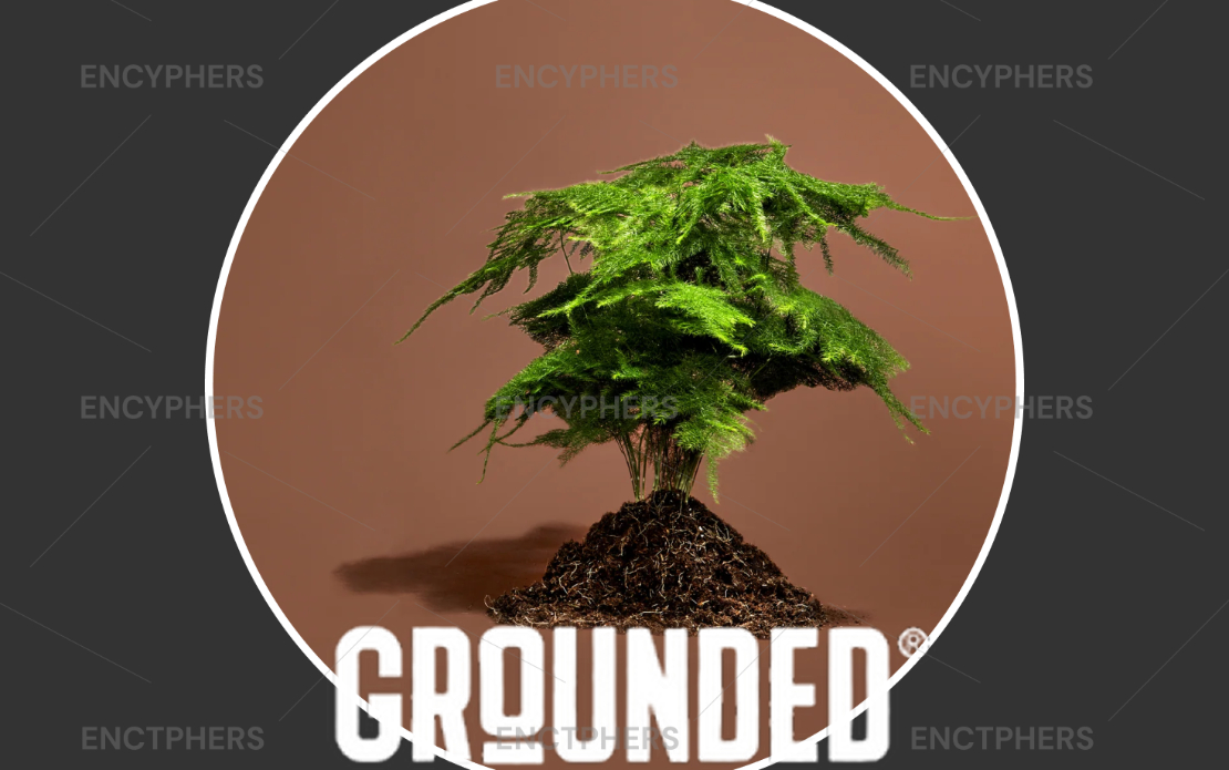 GROUNDEDSHAKES