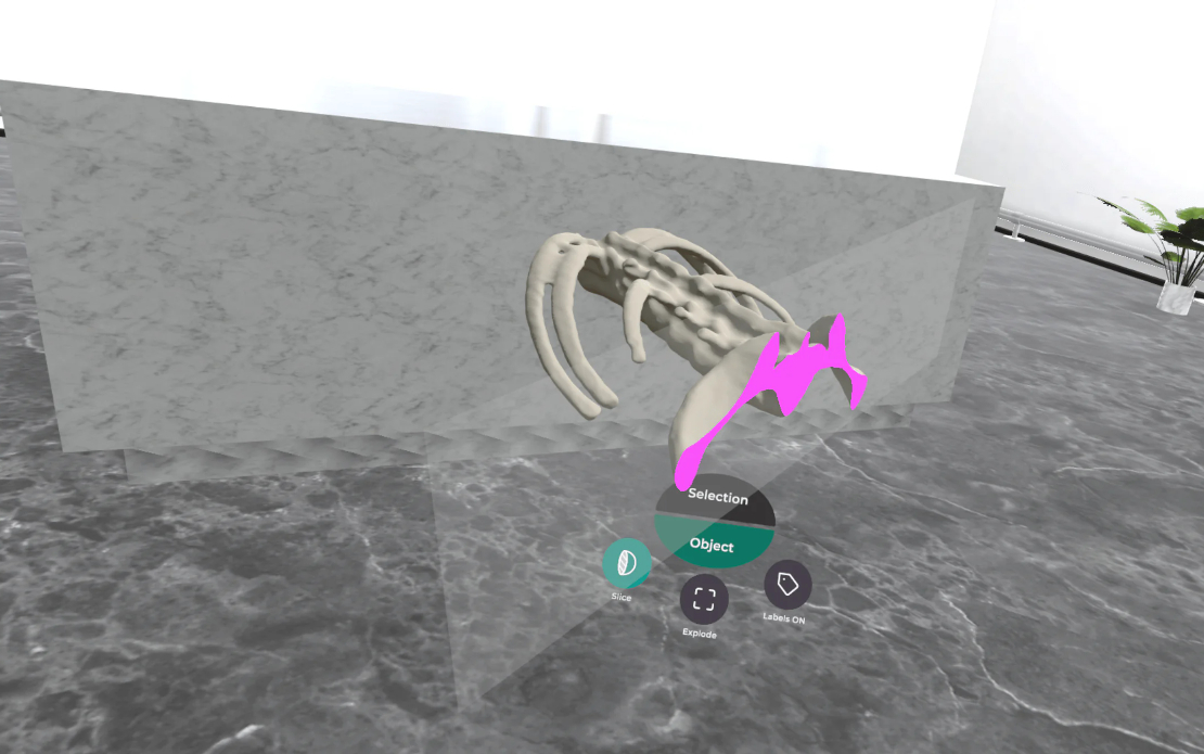VR Medical App for Education