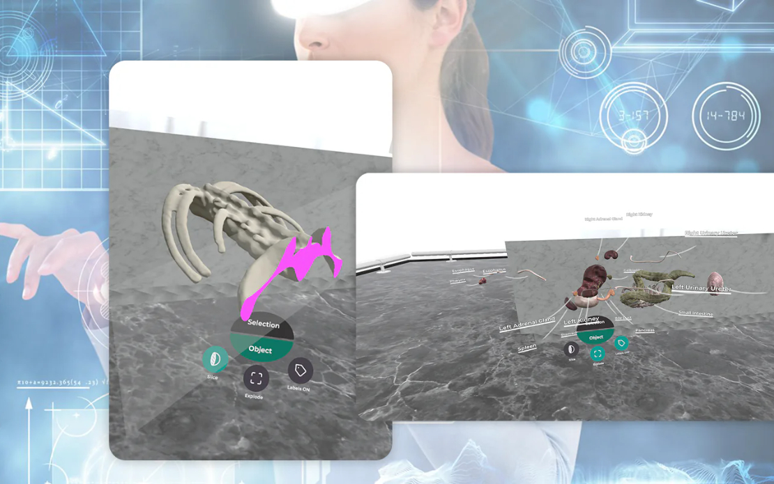 VR Medical App for Education