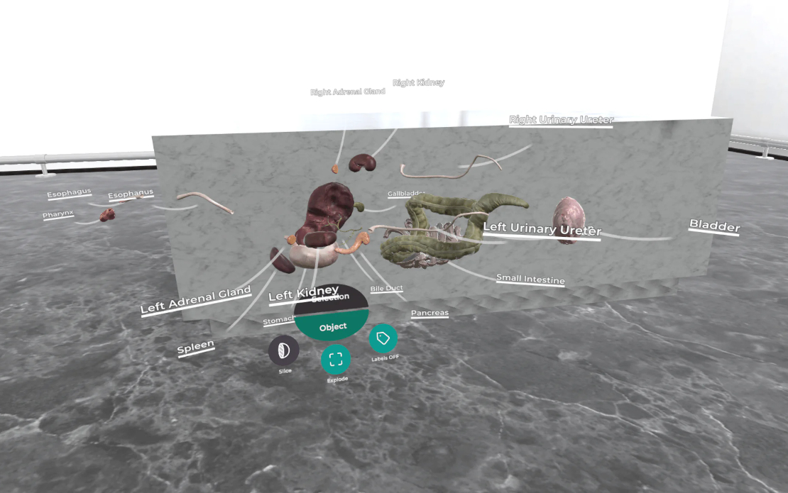 VR Medical App for Education