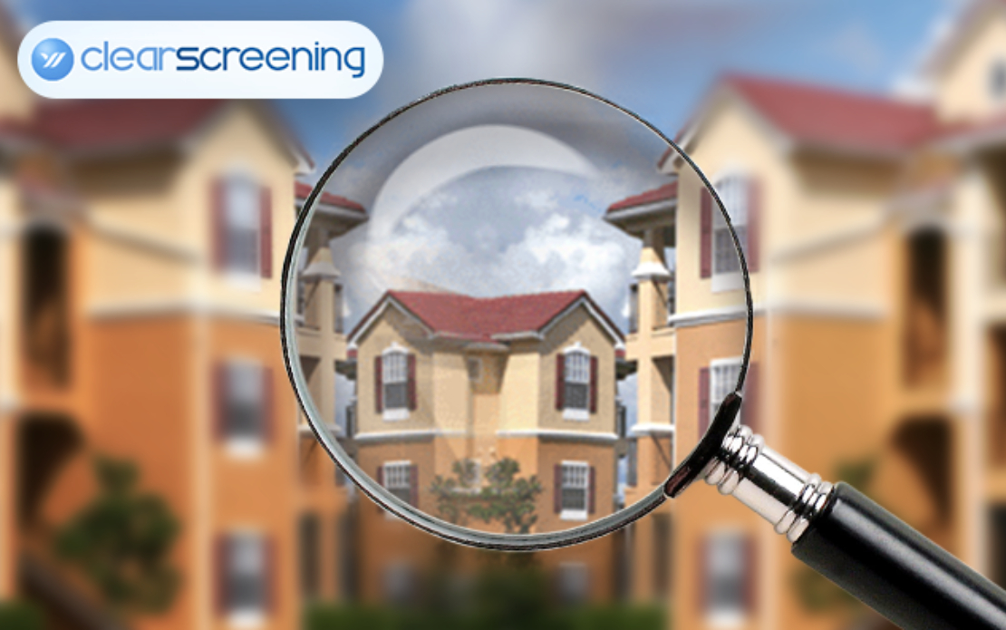 Background Check Software