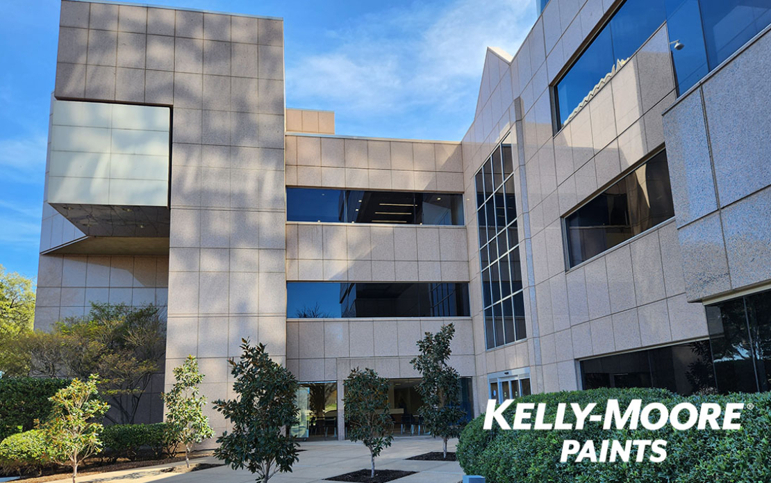 IT Audit Service for Paint Manufacturer