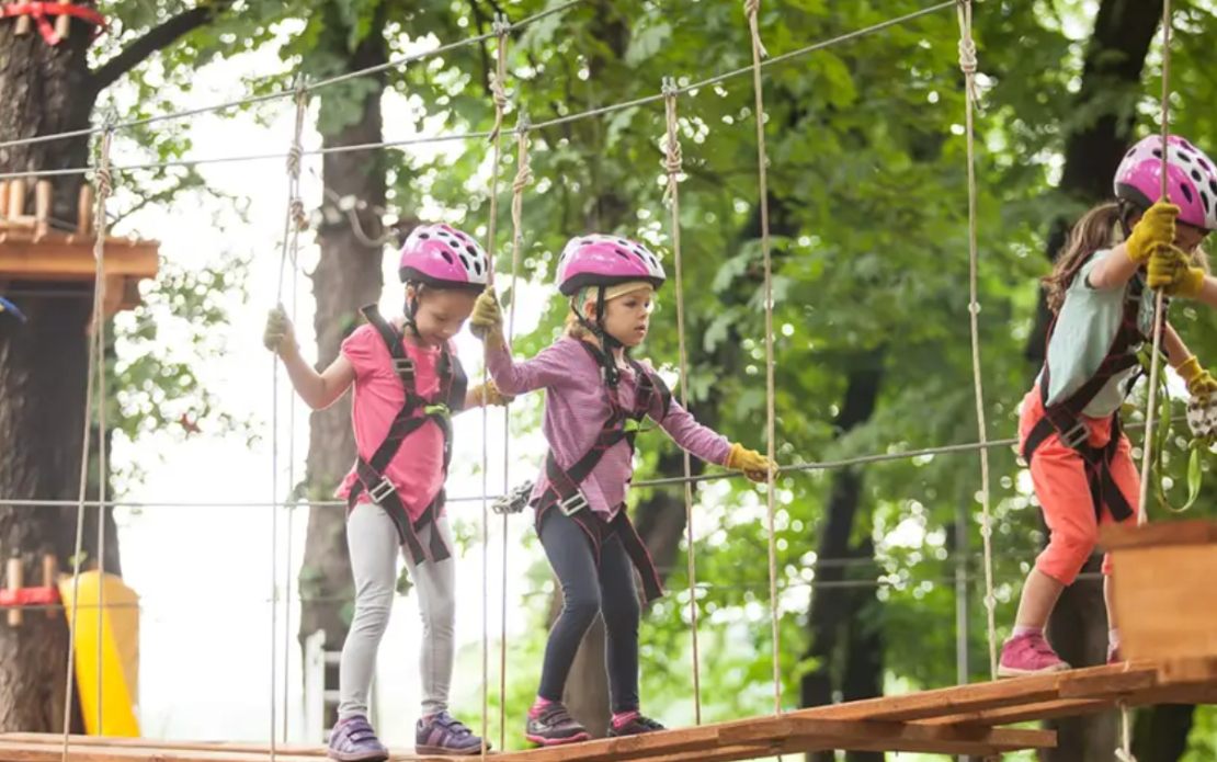 Smart App Transformed Visitor Experience at Kids Adventure Land