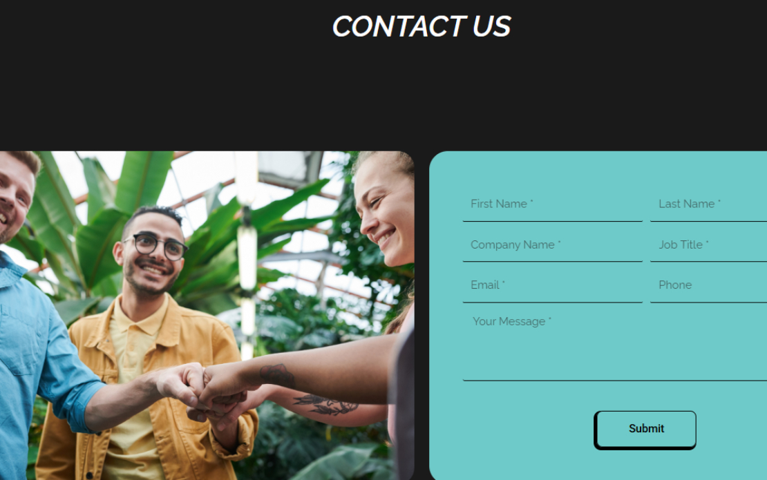 Elevating Marketing Consulting Online 