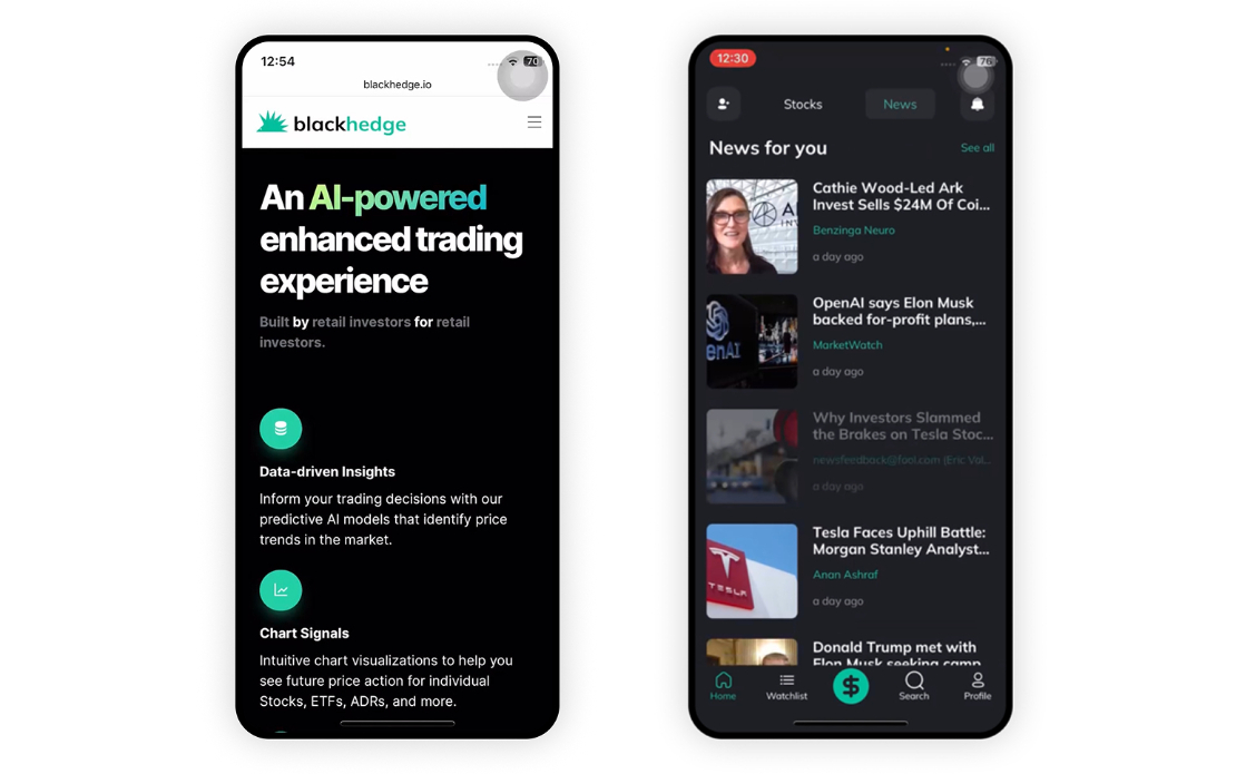 Blackhedge - AI-Powered Stock Investing & Financial Market Intelligence Platform