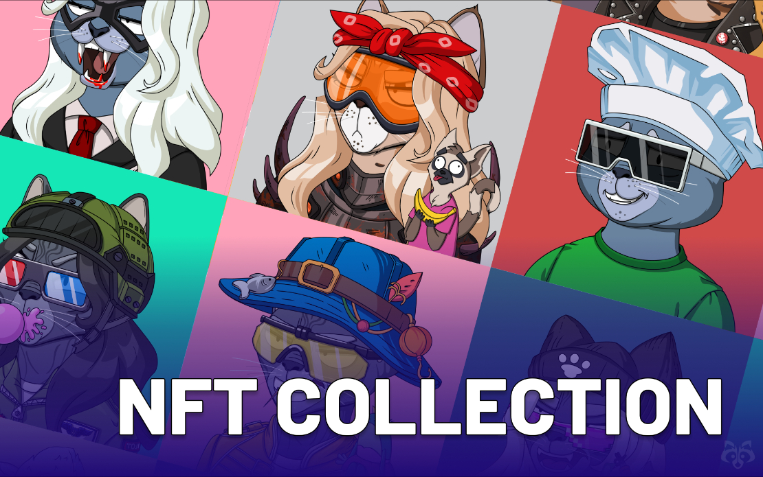 NFT Collections