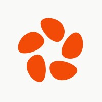 Zencoder.ai