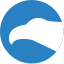CityFALCON